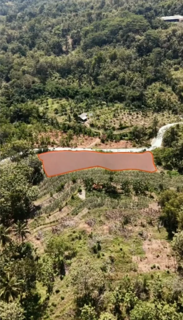 tanahkrakal4