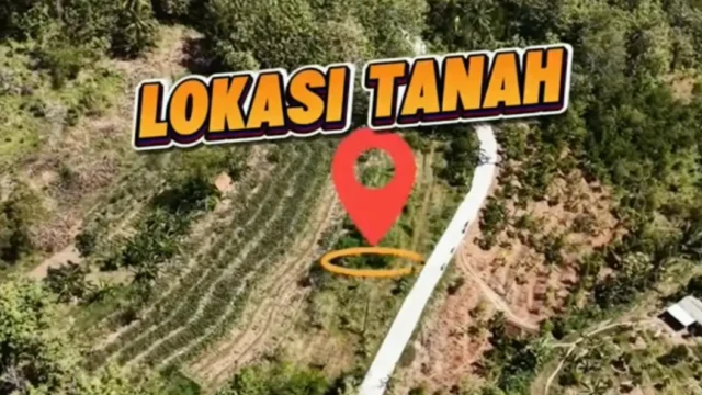 tanahkrakal6